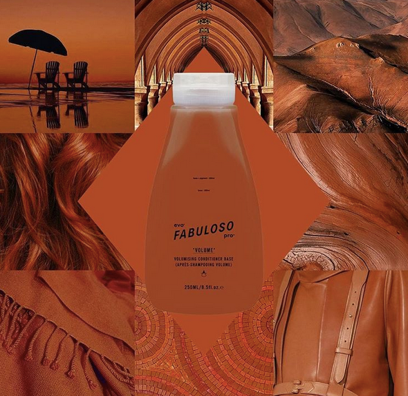 Colour maintenance conditioner